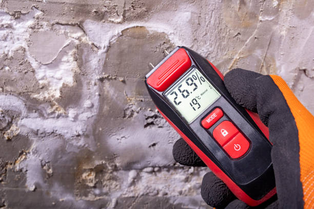 Best Industrial Mold Remediation in Coyne Center, IL