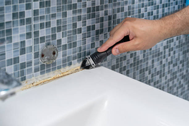 Best Health and Safety Mold Remediation in Coyne Center, IL